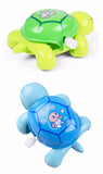 Animal  Clockwork Tortoise Toys